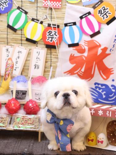 20240710モコくん